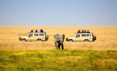 6 Days – Masai Mara, Lake Nakuru and Lake Naivasha Safari