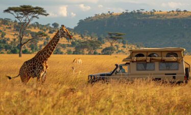The Majestic Mara: A 3-Day Saruni Luxury Escape