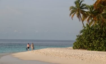  Kenya’s Wild Heart to Coastal Serenity: A 10-Day Safari & Beach Escape